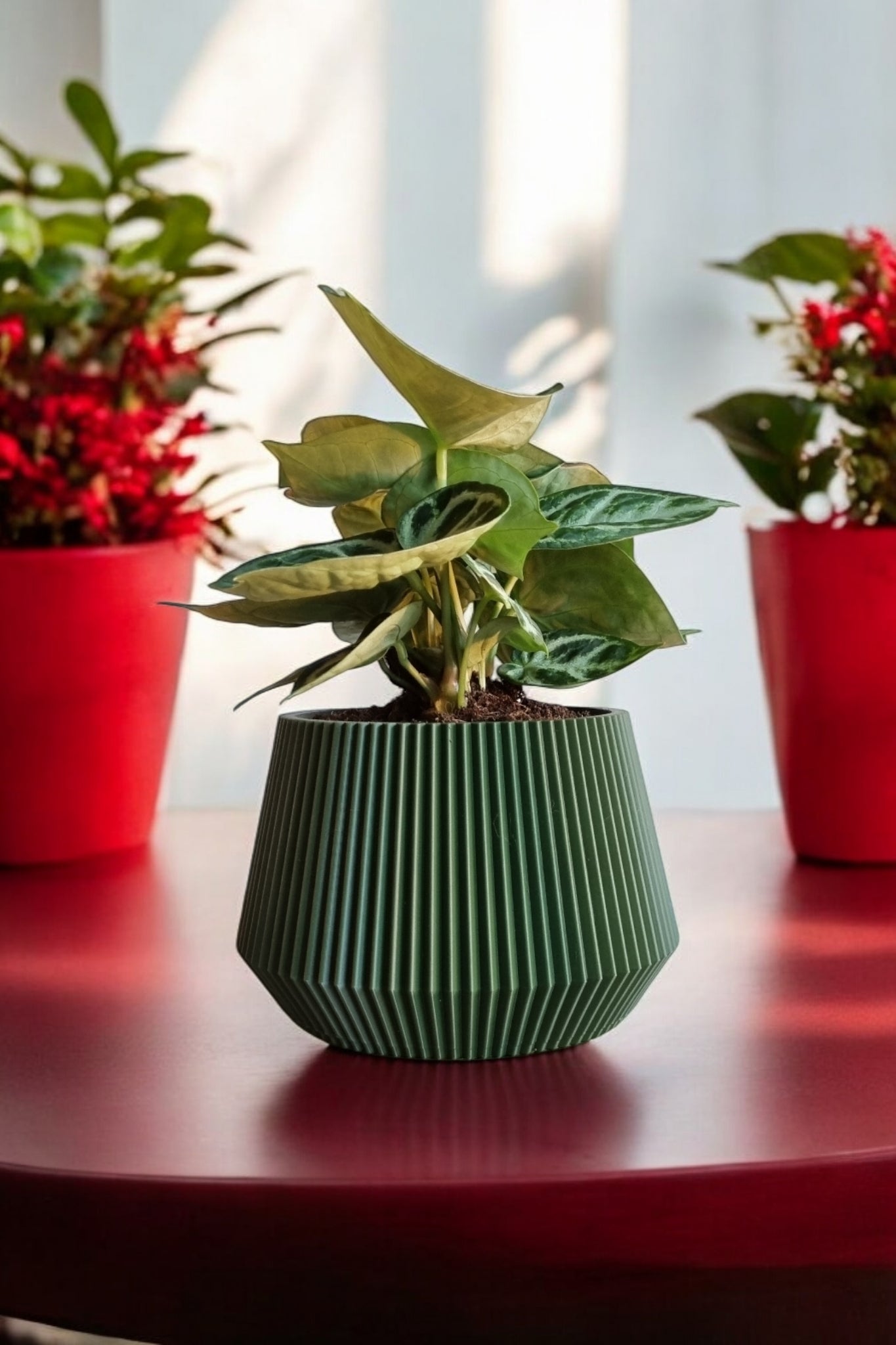 Apex_donkergroene_bloempot